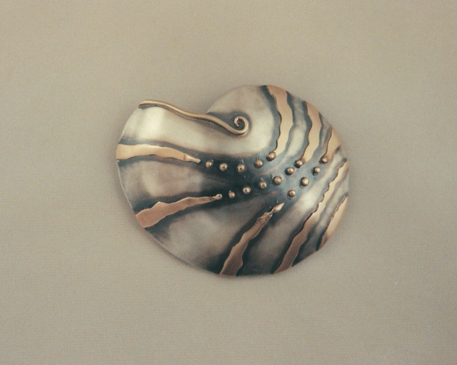 nautilus_1