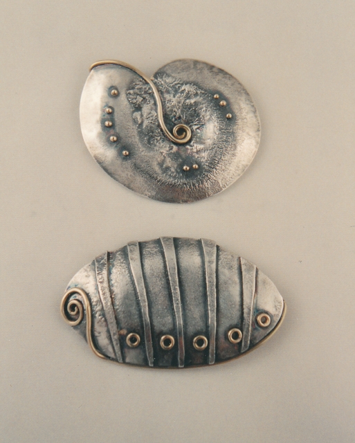 nautilus_and_abalone